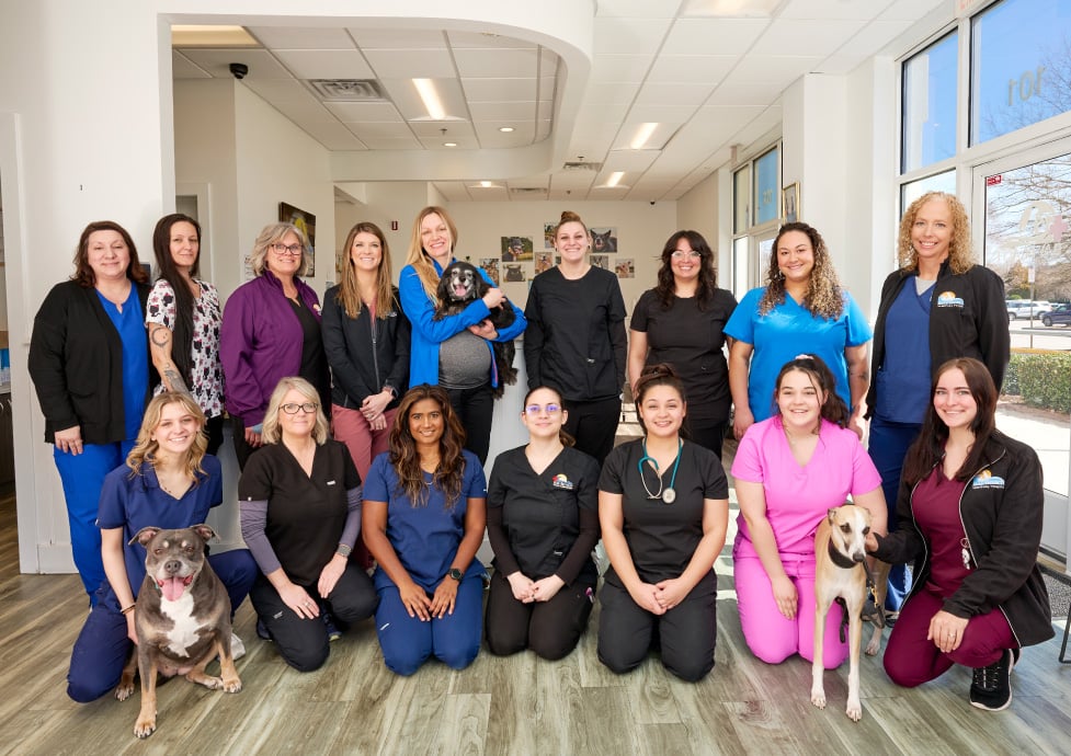 Group photo of the Bay Beach Veterinary Emergency Hospital team